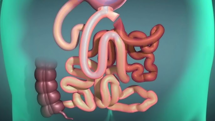 عملية الساسي ثنائي التقسيم